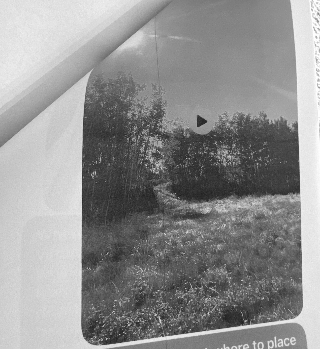 Richard’s diary photograph of the wooded hill and the proposed spot for the cross